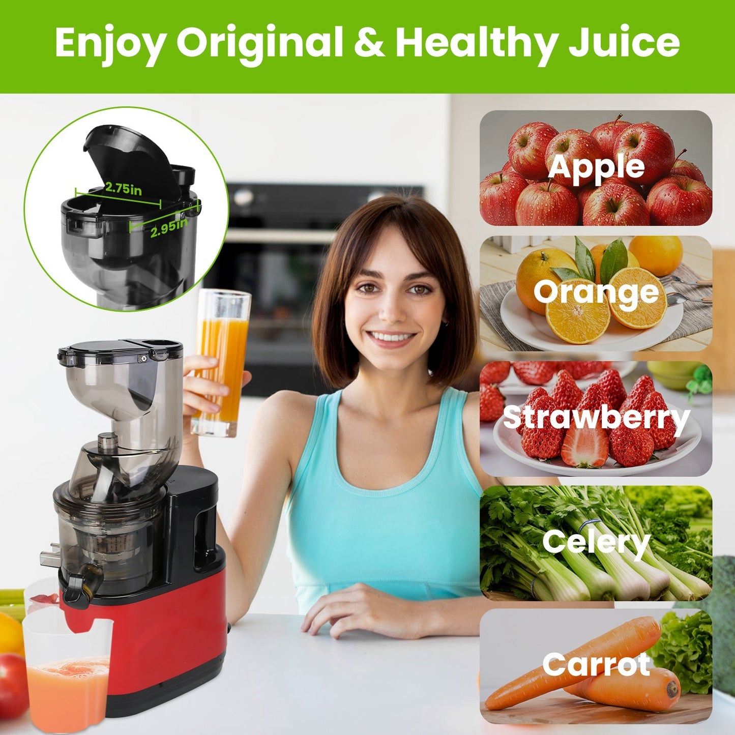 Extracteur de jus à froid 300W