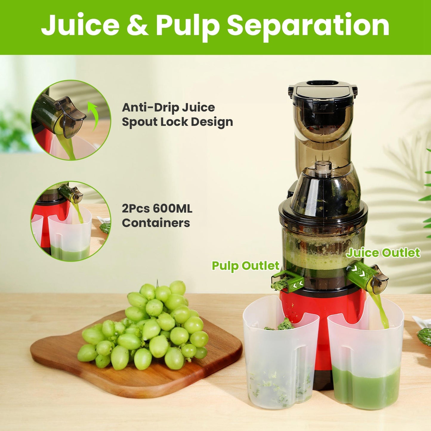 Extracteur de jus à froid 300W
