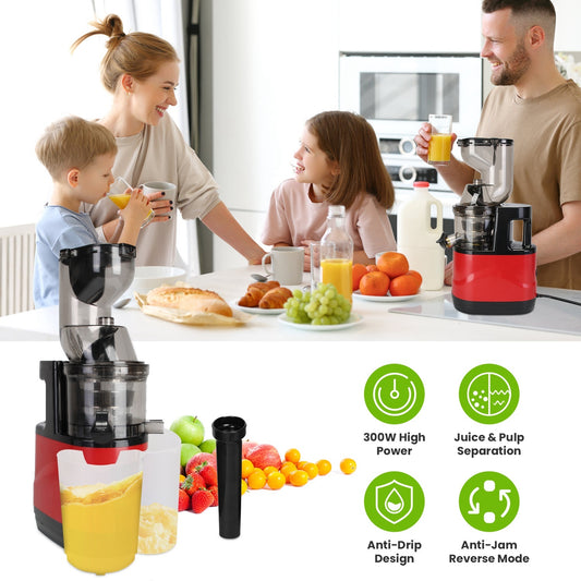 Extracteur de jus à froid 300W